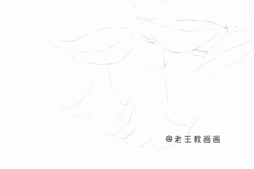 如何画花朵好看又简单（曼陀罗线描手稿，初学者都可以跟着临摹）
