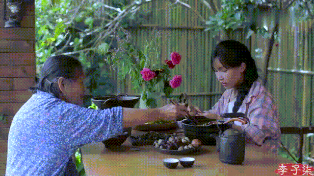 怎么拍视频（李子柒的美食摄影技巧）
