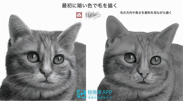 动物怎么画简单又漂亮（如何画出小动物？动物简单画法技巧！）