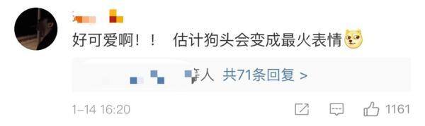 微信怎样添加表情包（微信又偷偷“搞事情”，刚刚上线了新的表情！）