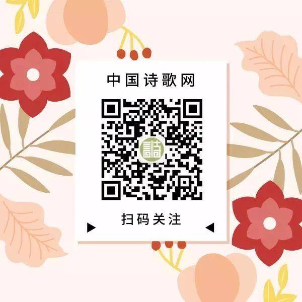 怎么获得微信公众号（这些公众号，你都知道吗？）