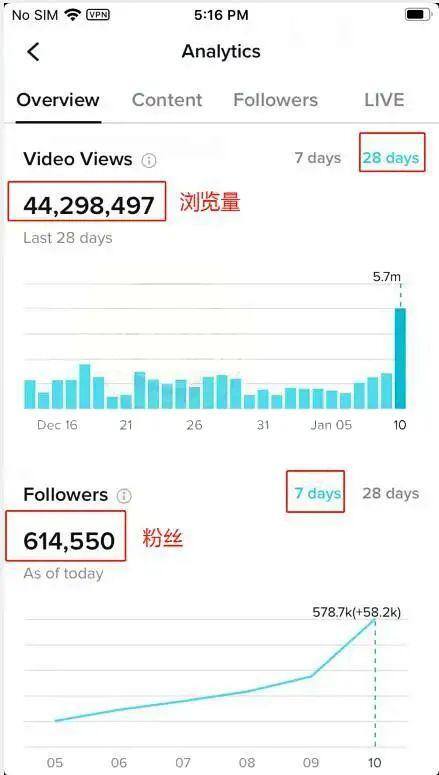 视频搬运工怎么挣钱（tiktok短视频赚钱的秘密）