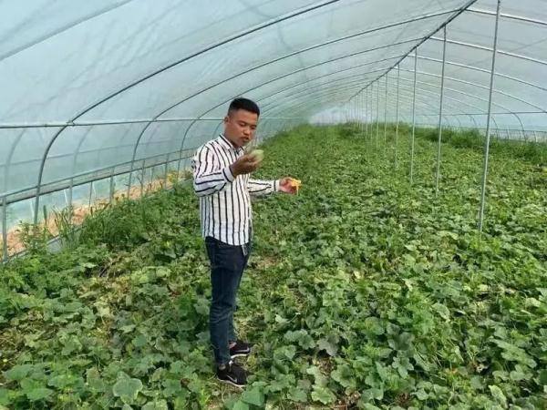 西瓜文化赚钱app下载（“90后”大学生返乡创业，种出300多种月季）