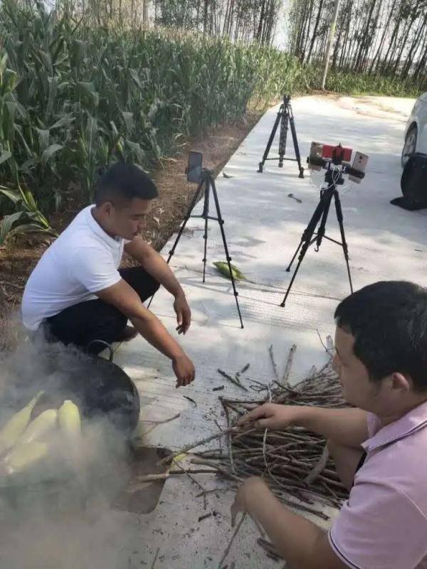 西瓜文化赚钱app下载（“90后”大学生返乡创业，种出300多种月季）