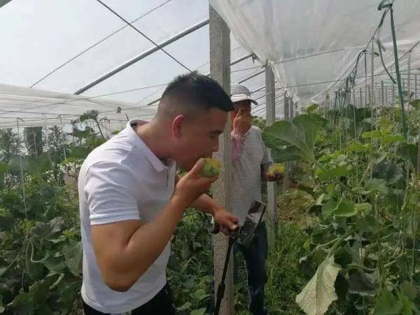 西瓜文化赚钱app下载（“90后”大学生返乡创业，种出300多种月季）