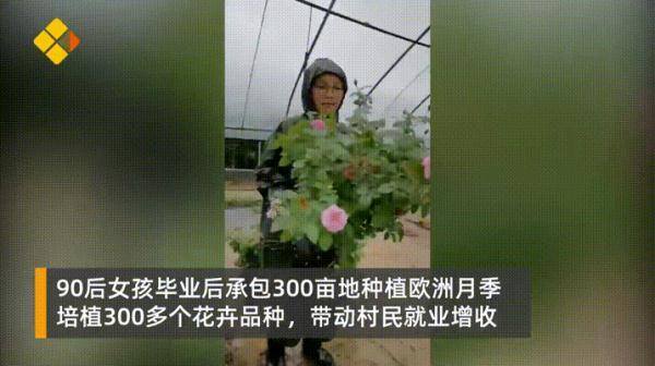 西瓜文化赚钱app下载（“90后”大学生返乡创业，种出300多种月季）