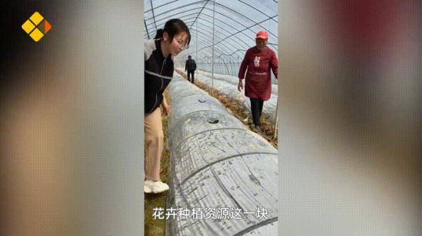 西瓜文化赚钱app下载（“90后”大学生返乡创业，种出300多种月季）
