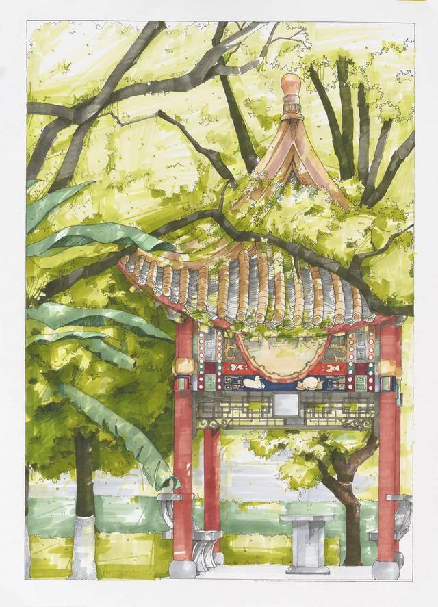 大美校园绘画（你眼中的师大是什么样子？）