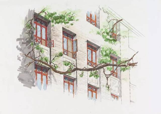 大美校园绘画（你眼中的师大是什么样子？）