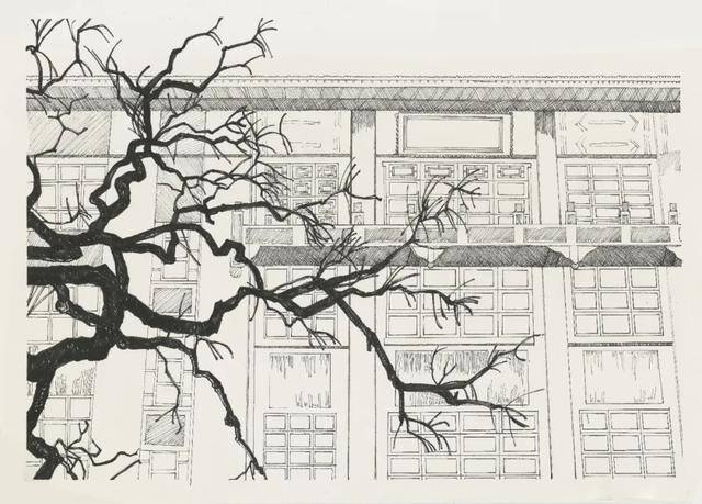 大美校园绘画（你眼中的师大是什么样子？）