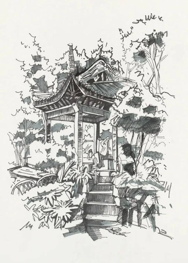 大美校园绘画（你眼中的师大是什么样子？）