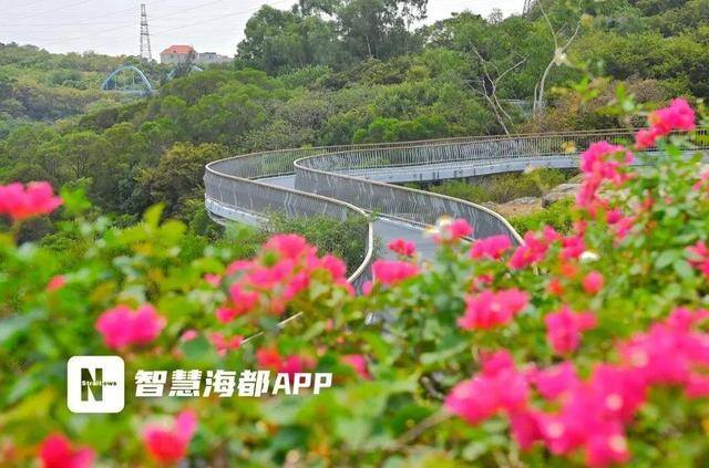 微信运动封面（福建最美步道，你去过几条？）