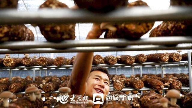 我带全村脱贫致富（「新时代新作为新篇章」红泥崖村：敢想敢干才能让村民过上好日子）