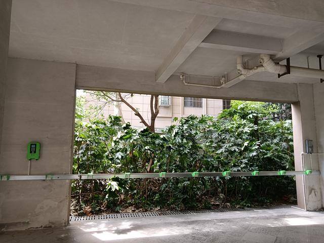 充电赚钱（充电桩一天能赚多少钱？）