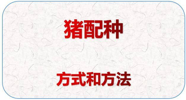 农村养猪最简单方法（学习养猪技术，让天下的猪都好养）