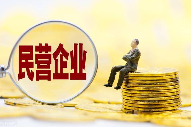 干什么工作挣的钱最多（民营企业为什么利润那么高？）