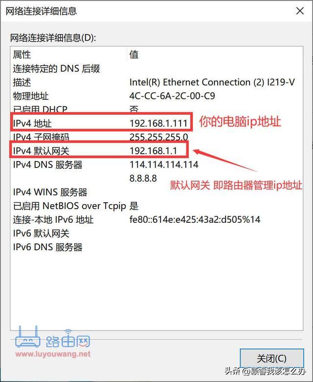 怎样查看电脑的ip地址（如何查看win7、win10、macos电脑ip地址）