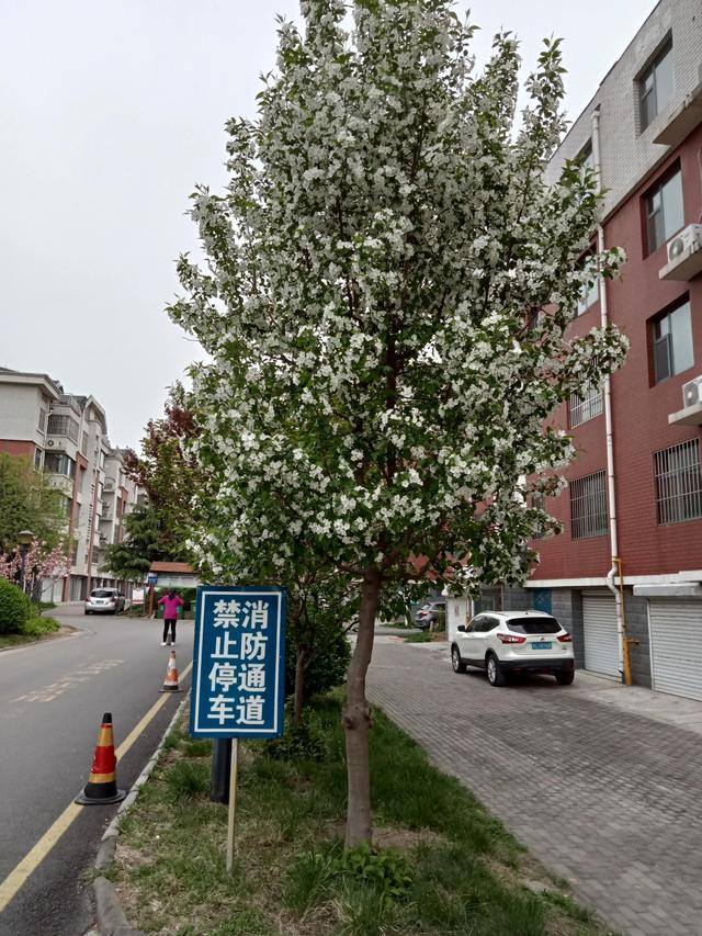 赚钱的门路（赚钱新门路）