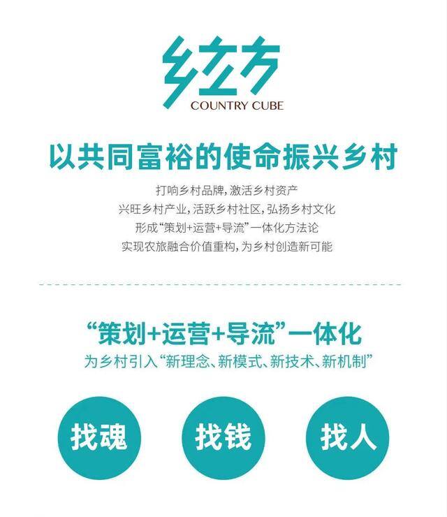 农村稀缺的小生意（乡村振兴最稀缺的资源，是具有未来价值的创新观念！）