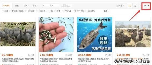 业余时间做点什么可以赚钱（如何在网上赚钱？）