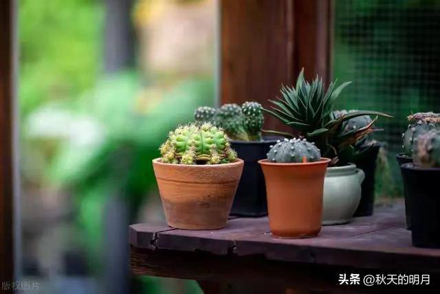 风水进门五不见（借钱没有还的家门，不能去）