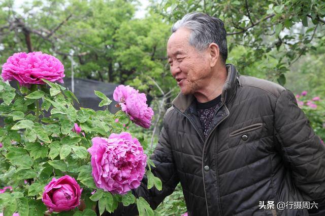 手工活300一天在家做（杜大爷家的牡丹园）