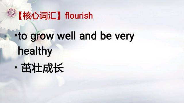 生意的英语（每日一词：flourish）