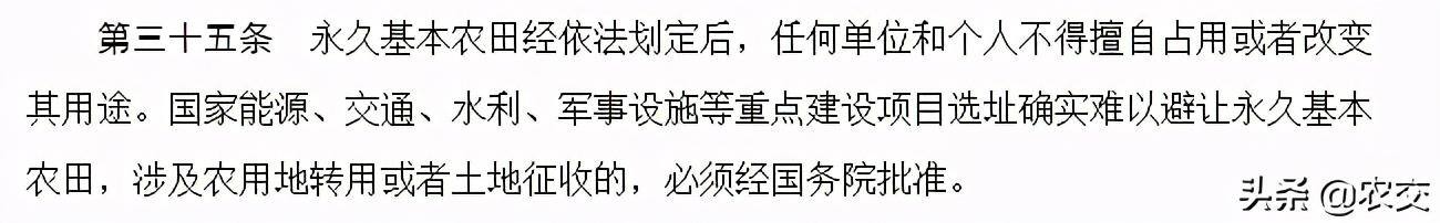 基本农田可以种果树吗（占用基本农田种植果树，符合相关规定吗？）