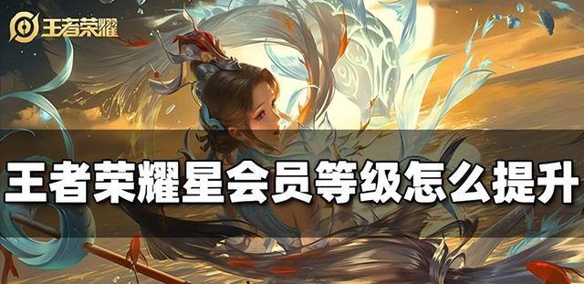 王者荣耀如何快速升级（王者荣耀星会员等级怎么提升）