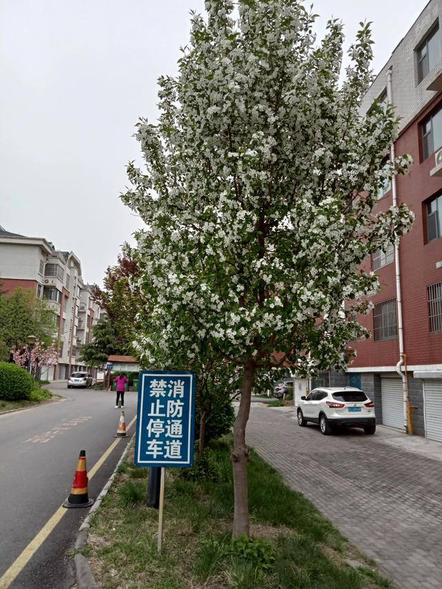 赚钱的门路（赚钱新门路）