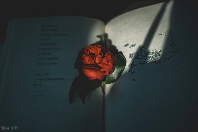 我真的只想赚钱小说（沈清雪一心想开粥铺，治好姐姐的眼睛）