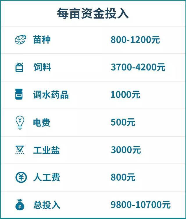 养对虾赚钱吗（养殖南美白对虾的投入和收益情况）