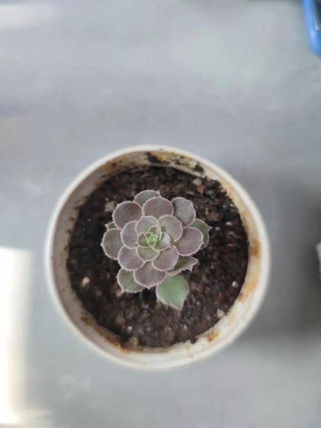 最挣钱的行业排行榜（最近发现的两大暴利行业）