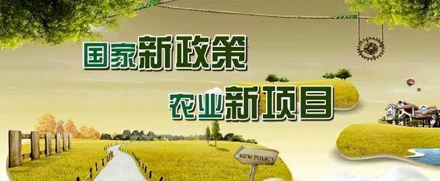 农村创业国家扶持项目有哪些（国家支持的农村创业项目）