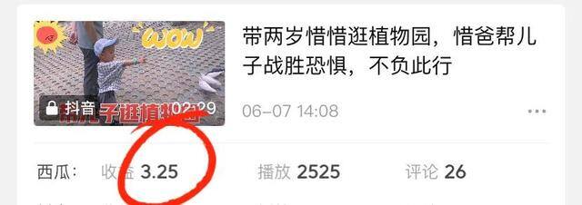 可以赚钱的app（我的中视频伙伴计划）
