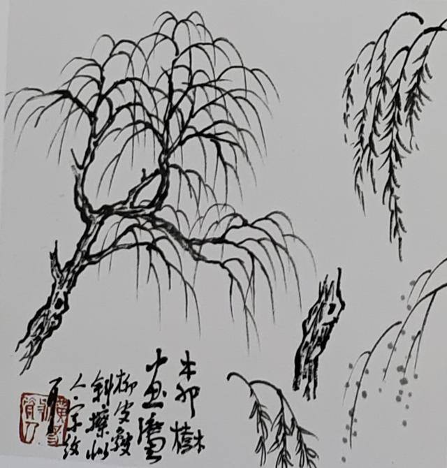 大树怎么画简单又好看（中国画画树的画法）