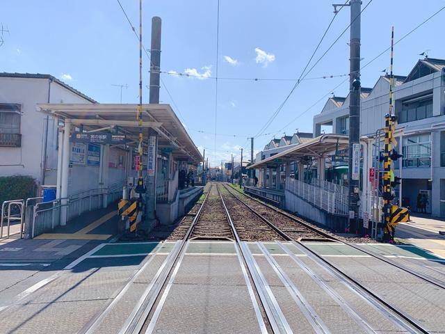 发财毛一般长在哪里（日本旅行攻略之“招财猫”）