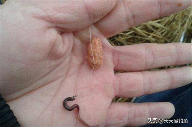 钓鱼技巧（钓鱼技巧：无钩调漂和无钩调漂的区别）