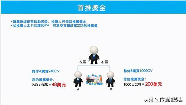 淘粉生活赚钱是真的吗（海粉宝宝被公然讨债，社交电商的新宠儿）