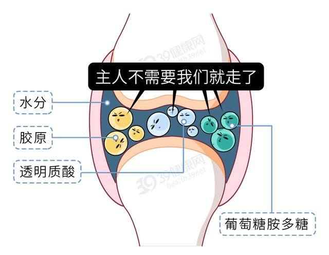 宫腔积液做什么运动最好排出（如何保护膝关节）