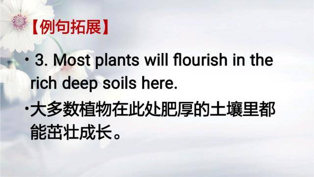 生意的英语（每日一词：flourish）
