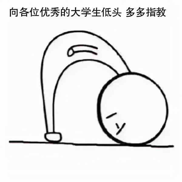 如何学习编程（大学生如何学好编程？）