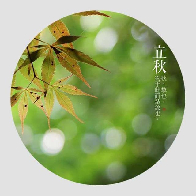 今日风水（立秋养生要点）