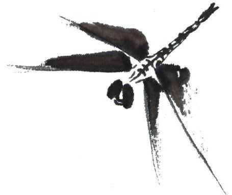 画蜻蜓又简单又漂亮（蜻蜓的基本画法蝗虫的基本画法）