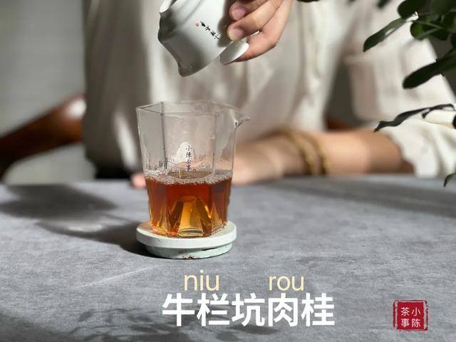 卖茶叶生意怎么样（岩茶小白的心得）