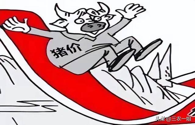 现在养殖什么最赚钱见效最快（元旦即将到来，生猪价格行情如何？）