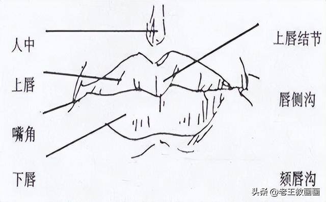 画画教学（50个素描基础教程）