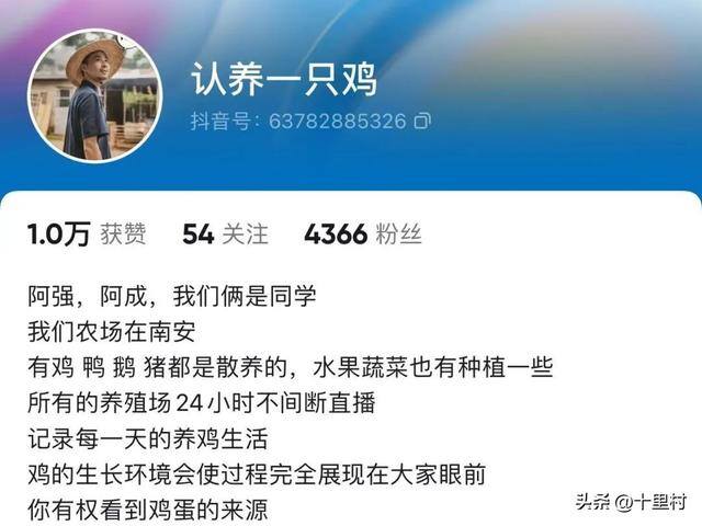 散养土鸡的利润和成本（在线认养模式的挑战）