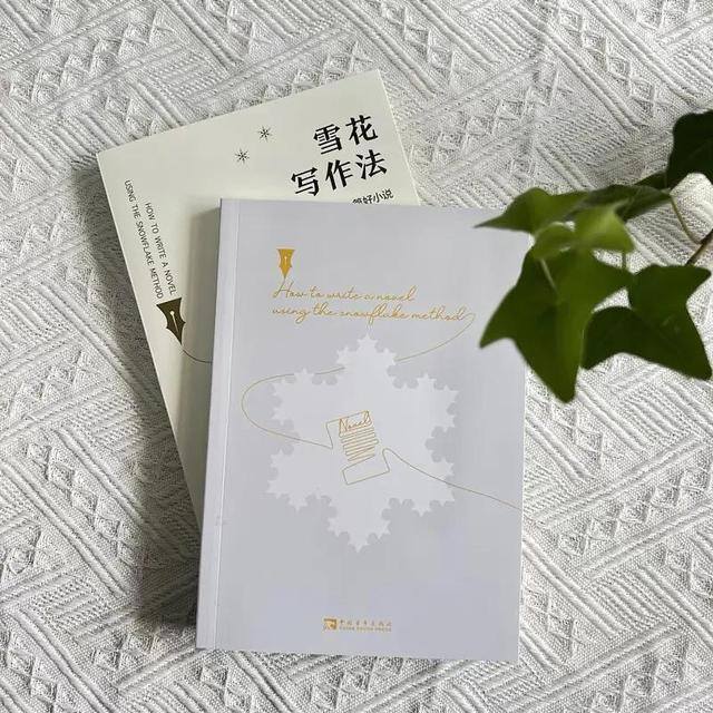 如何在网上写小说（《雪花写作法》的10个步骤）