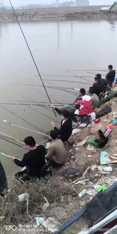 种菜赚钱游戏（有机菜市场游戏真的能赚钱吗？）